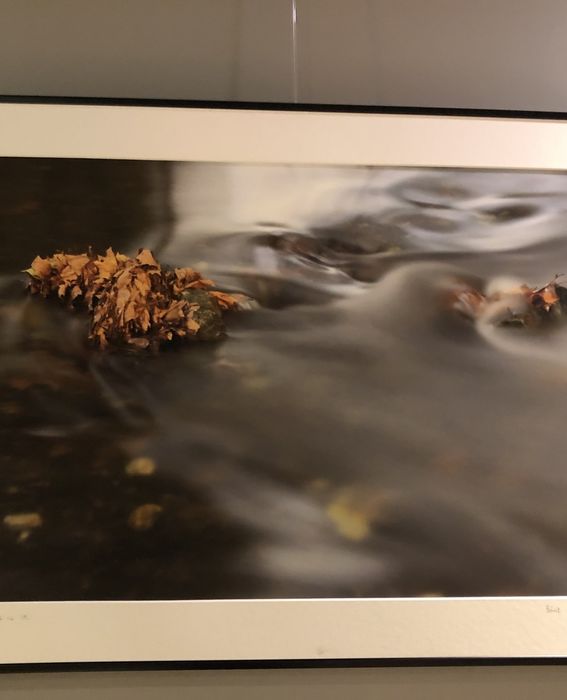 Kalostrape Ostatua eta Jatetxea, Baiona, Euskal Herria. Restaurant et bar incontournable du Petit Bayonne. Exposition du mois de mai 2019 avec le photographe Beñat Picabea.