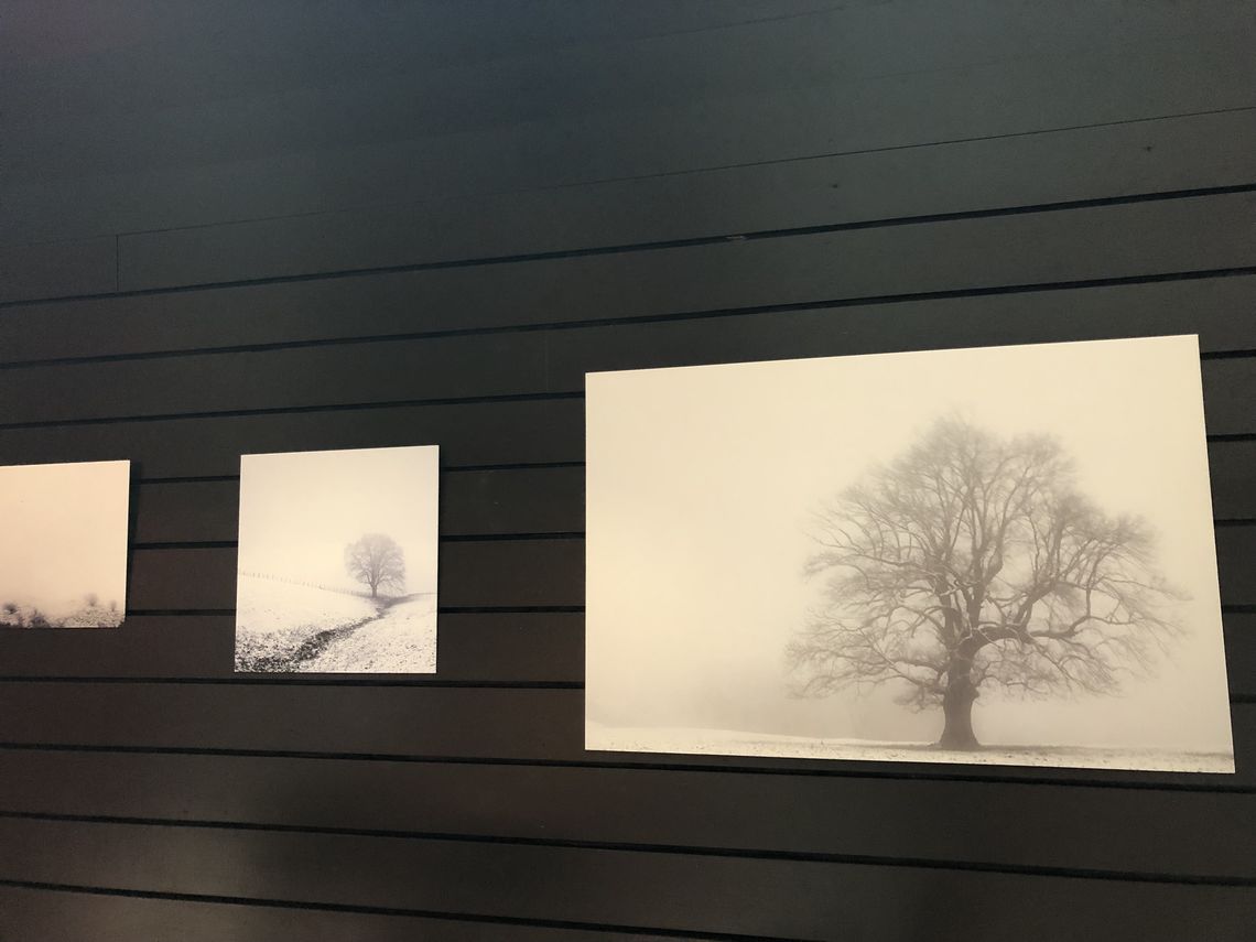 Kalostrape Ostatua eta Jatetxea, Baiona, Euskal Herria. Bar et restaurant situé dans le quartier historique du Petit Bayonne, au 22 rue Marengo. Exposition du mois d'août 2019 avec le photographe Bayonnais Zazpi
