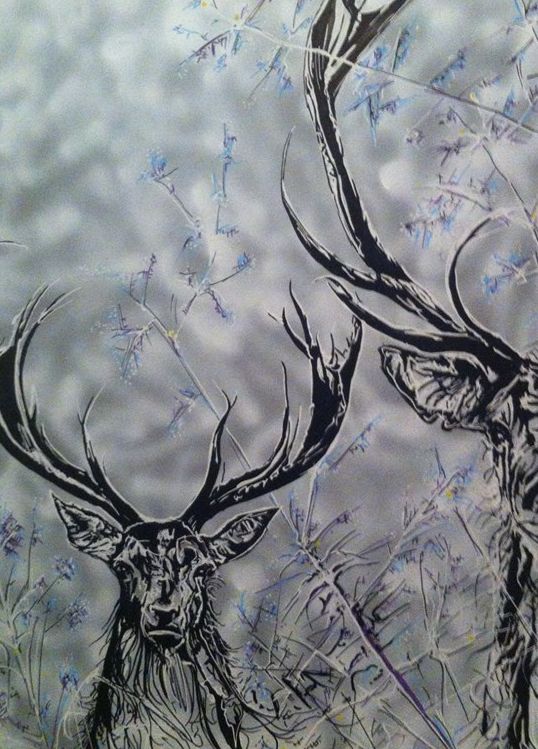 Kalostrape Ostatua eta Jatetxea, Baiona, Euskal Herria. Bar atypique et restaurant traditionnel du petit Bayonne. Situé au 22 rue Marengo, dans l'ancien cloître des Visitandines. Exposition du mois de février 2020 avec l'artiste Sebastien 2B