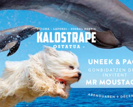 Kalostrape Ostatua, Jatetxea, Baiona, Euskal Herria. Bar et restaurant au coeur du Petit Bayonne. Affiche de la soirée Pace et Uneek, avec 2 dauphins et un chien