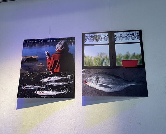 Kalostrape Ostatua eta Jatetxea, Baiona. restaurant traditionnel et bar atypique du quartier du Petit Bayonne. Situé au 22 rue Marengo, dans l'ancien cloître des Visitandines. Exposition du mois de juin 2021 avec la photographe Christine Chantelauze