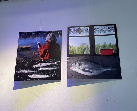 Kalostrape Ostatua eta Jatetxea, Baiona. restaurant traditionnel et bar atypique du quartier du Petit Bayonne. Situé au 22 rue Marengo, dans l'ancien cloître des Visitandines. Exposition du mois de juin 2021 avec la photographe Christine Chantelauze