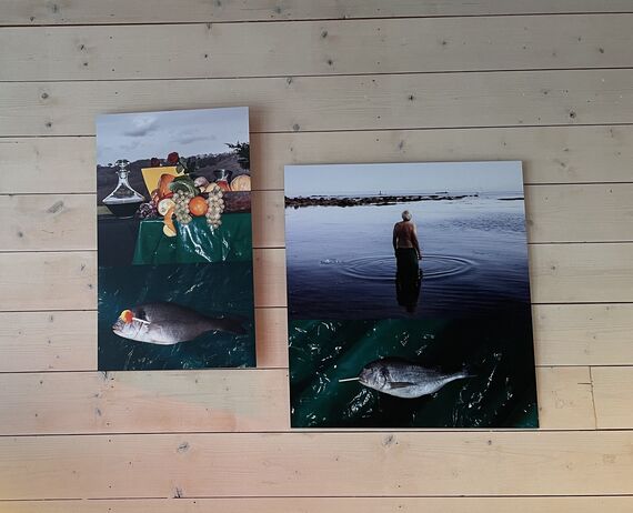 Kalostrape Ostatua eta Jatetxea, 22 Marengo Karrika, Baiona. Restaurant et bar atypique du Petit Bayonne. Situé dans l'ancien cloître des Visitandines. Exposition du mois de juin 2021 avec la photographe Christine Chantelauze