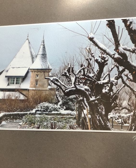 Kalostrape Ostatua Bar et Restaurant incontournable situé au coeur du Petit Bayonne, dans le quartier historique, dans l'ancien cloître des Visitandines. Bar à tapas et bar à cocktails. Exposition mensuelle du mois de septembre 2018 avec l'artiste Beñat Perez, dans collectif Ur Taldea