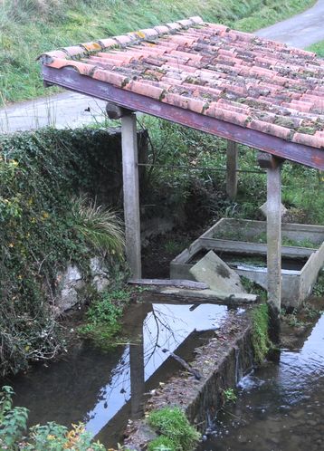 Kalostrape Ostatua Jatetxea, Baiona, Euskal Herria. Bar et restaurant au coeur du Petit Bayonne. Concerts, soirées et expositions tout au long de l'année. Ouvert du mardi au samedi. Exposition du poète et artiste Fred Fort en février 2018.