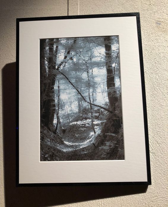 Kalostrape Ostatua eta Jatetxea, Baiona, Euskal Herria. Bar et restaurant incontournable du Petit Bayonne. Bar à pintxos et bar à cocktails. Exposition du mois de novembre 2018 avec la collective de photographes Hatza et les deux photographes Jérome Forsans et Jean-Michel Degrange
