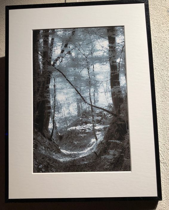 Kalostrape Ostatua eta Jatetxea, Baiona, Euskal Herria. Bar et restaurant incontournable du Petit Bayonne. Bar à pintxos et bar à cocktails. Exposition du mois de novembre 2018 avec la collective de photographes Hatza et les deux photographes Jérome Forsans et Jean-Michel Degrange