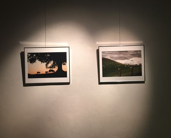 Kalostrape Ostatua Jatetxea, Baiona Euskal Herria - Bar restaurant au coeur du Petit Bayonne. Bar à cocktails et à tapas. Concerts, soirées et expositions. Exposition du collectif Hatza pour le mois de novembre, pour le mois de la photographie. Photographe basque Annie Anchartechahar Arrabit. Paysage du Pays Basque et des montagnes.