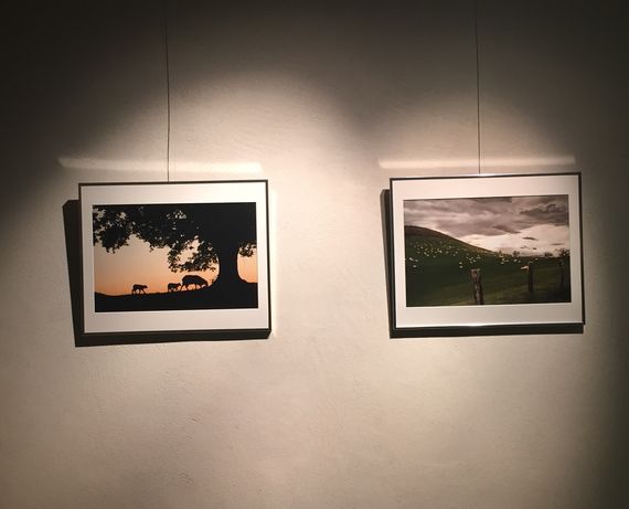 Kalostrape Ostatua Jatetxea, Baiona Euskal Herria - Bar restaurant au coeur du Petit Bayonne. Bar à cocktails et à tapas. Concerts, soirées et expositions. Exposition du collectif Hatza pour le mois de novembre, pour le mois de la photographie. Photographe basque Annie Anchartechahar Arrabit. Paysage du Pays Basque et des montagnes.